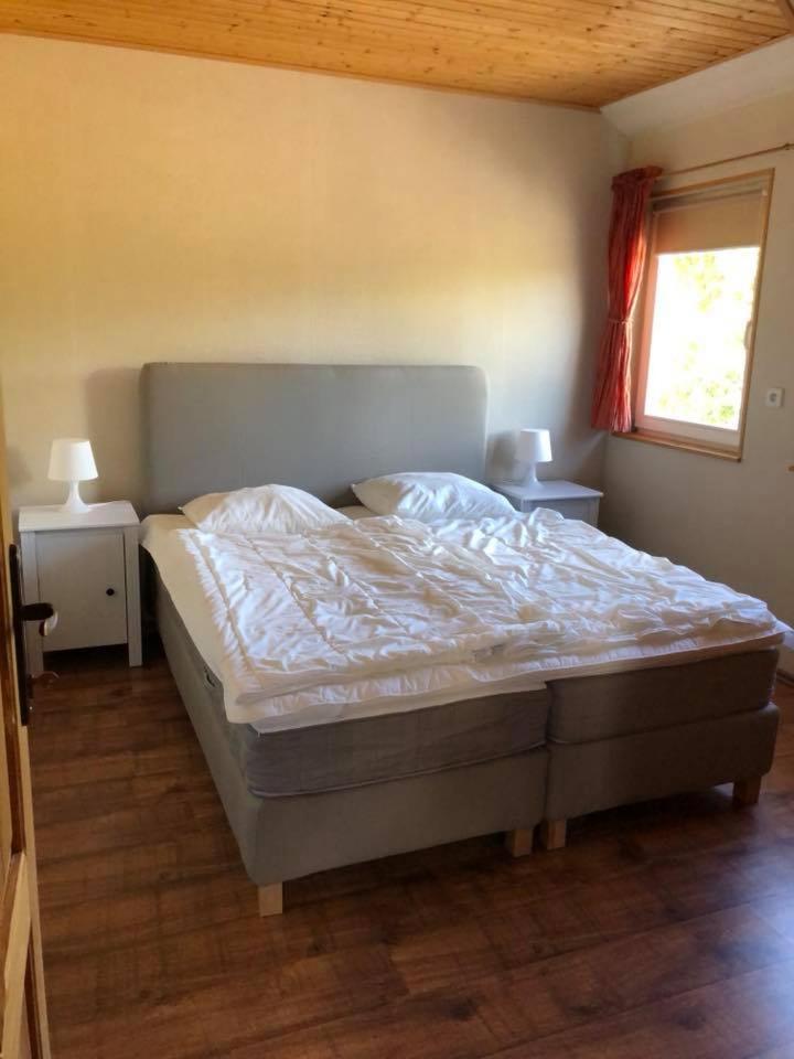 Apartamenty Beata Wisełka Εξωτερικό φωτογραφία